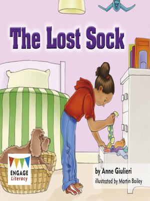 cover image of The Lost Sock